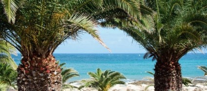 Top Things to Do in Costa Teguise