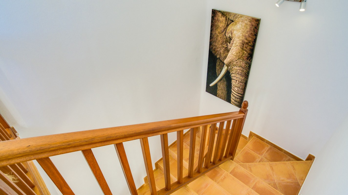 - Conil - Roper Properties