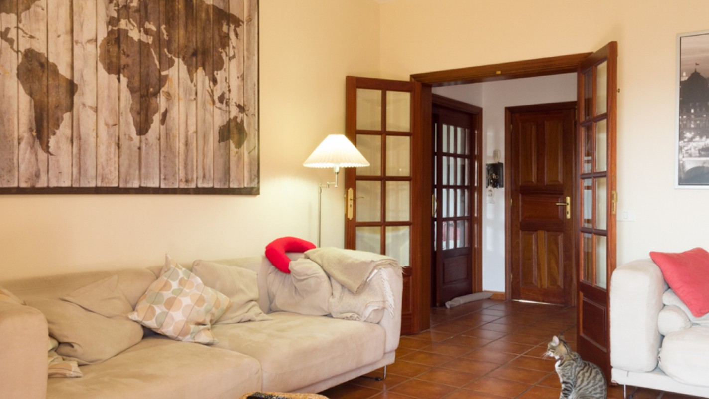 - Guatiza - Roper Properties