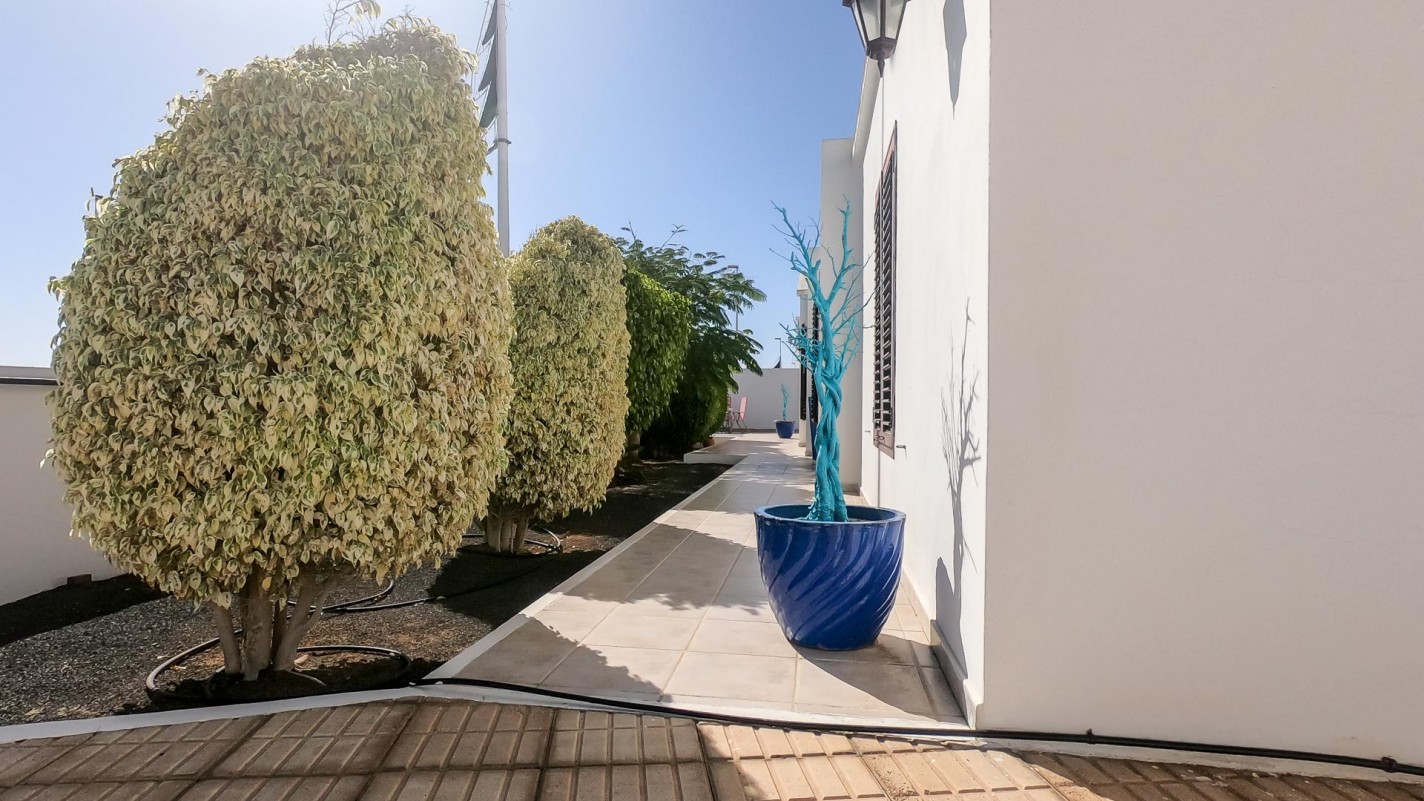 - Tías - Roper Properties