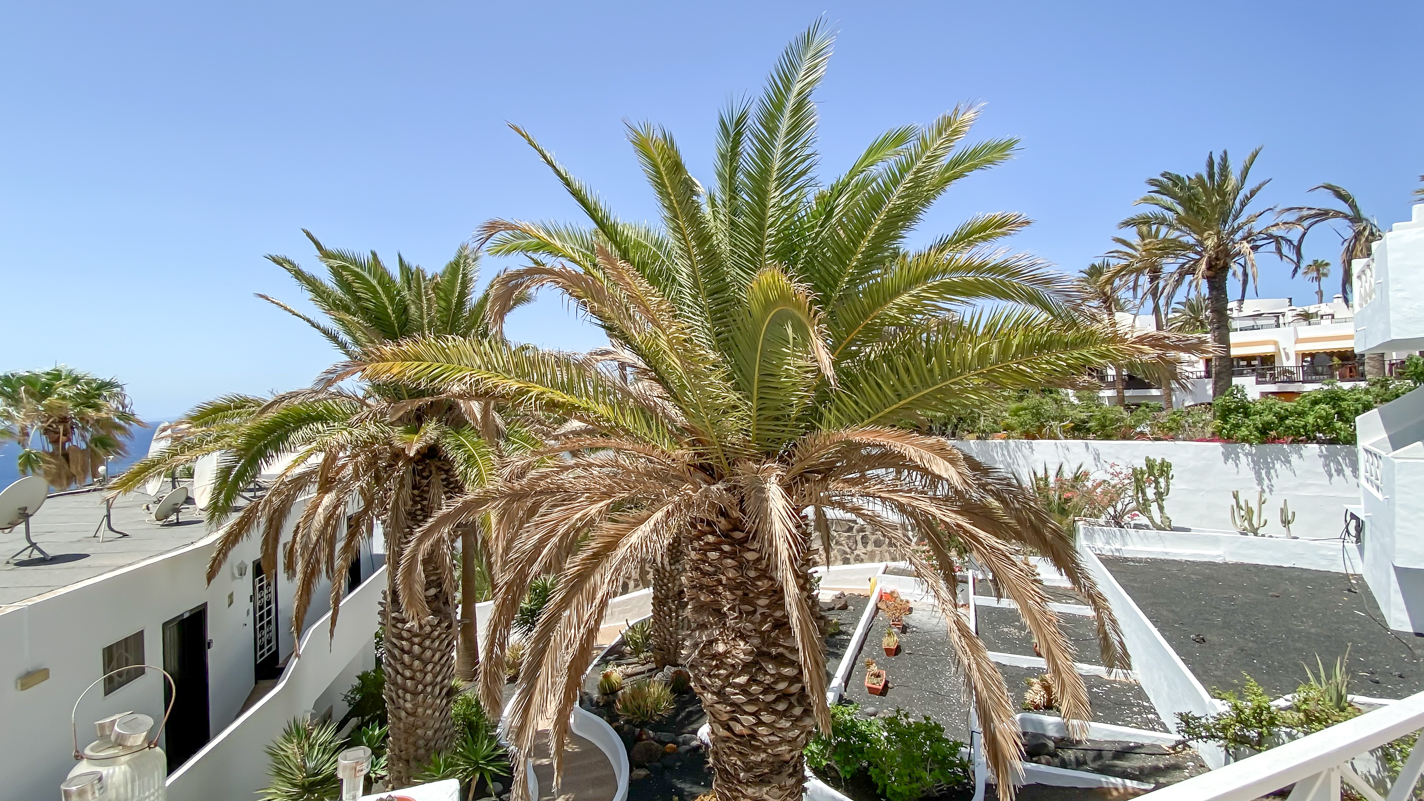 San Francisco II - Puerto Del Carmen - Roper Properties