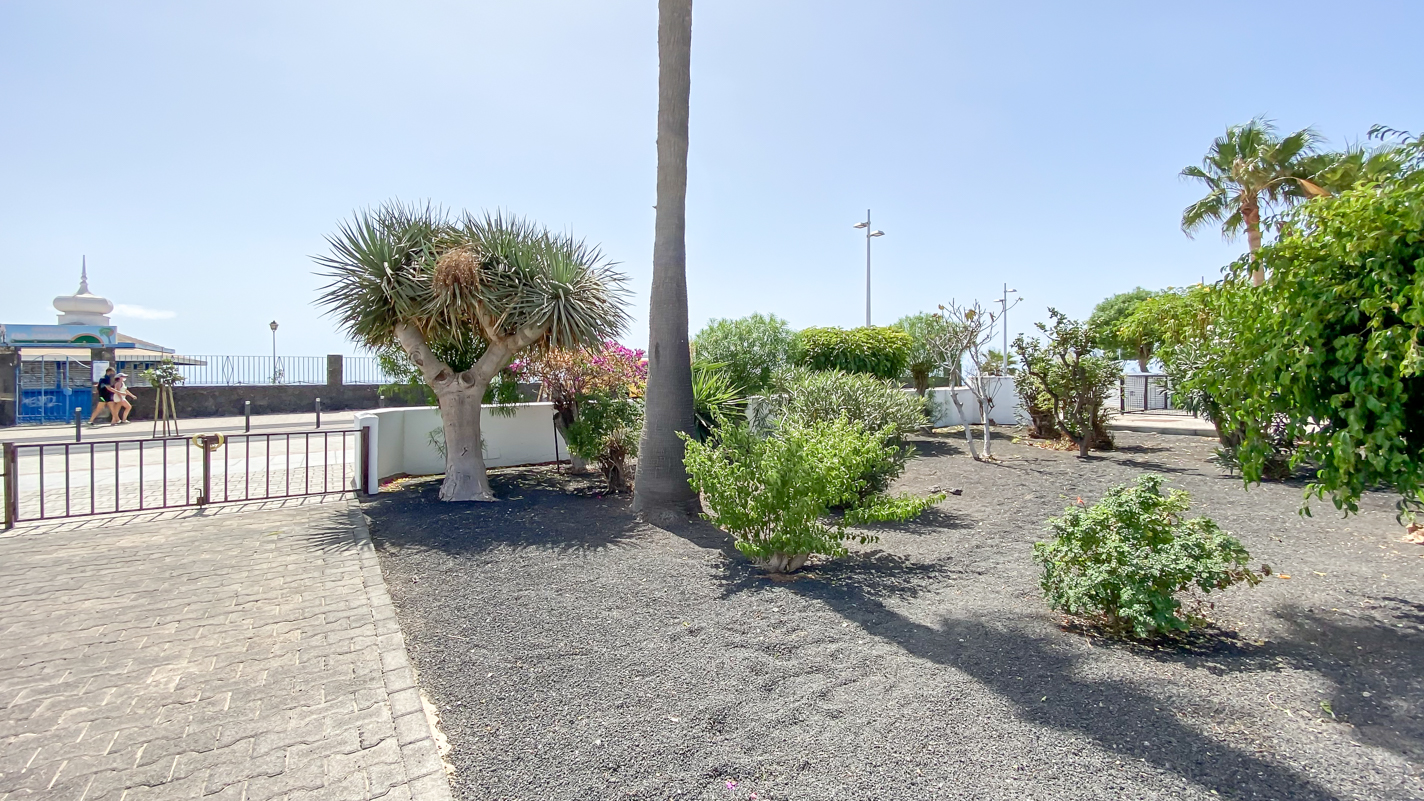 Oasis San Antonio - Puerto Del Carmen - Roper Properties