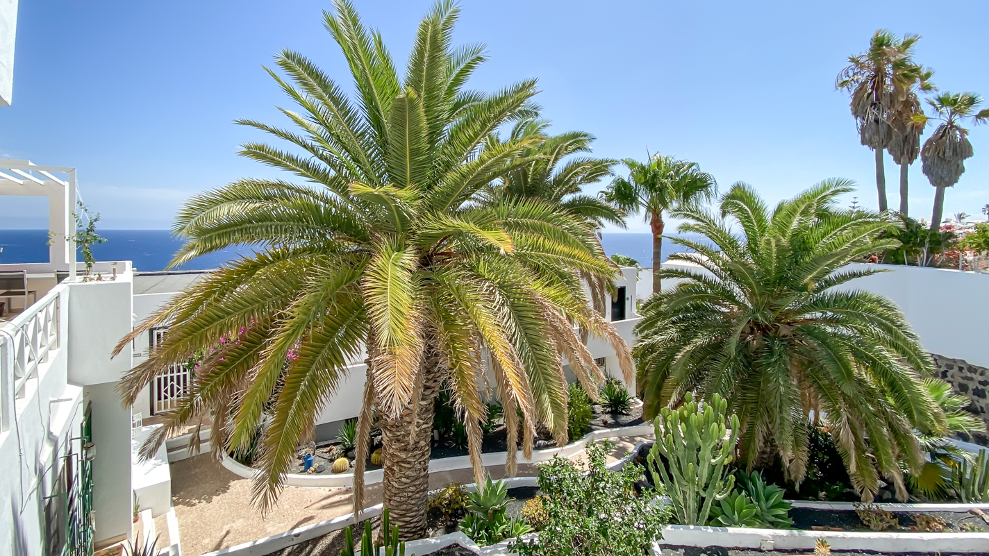 San Francisco - Puerto Del Carmen - Roper Properties
