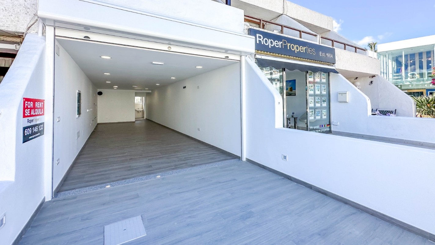 - Puerto Del Carmen - Roper Properties
