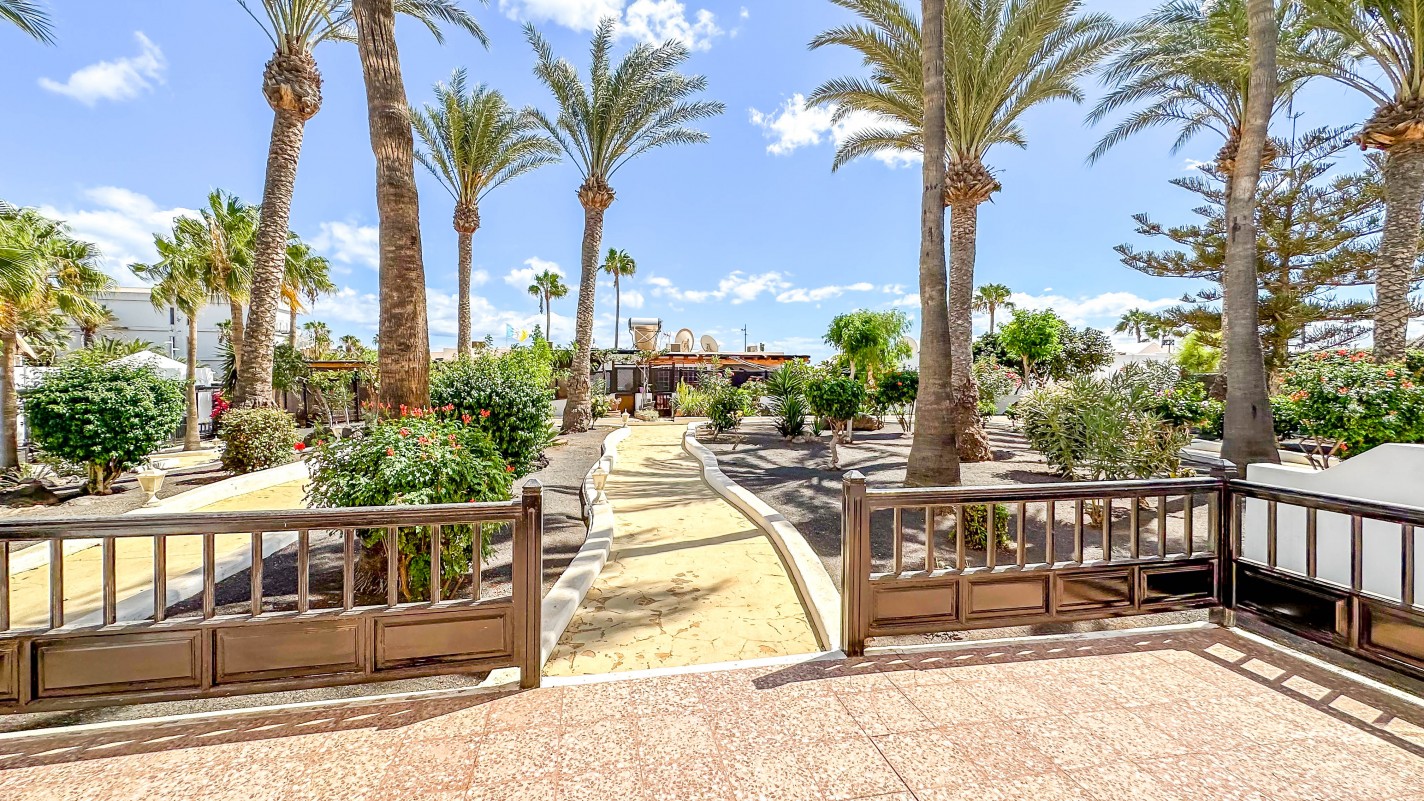Oasis San Antonio - Puerto Del Carmen - Roper Properties