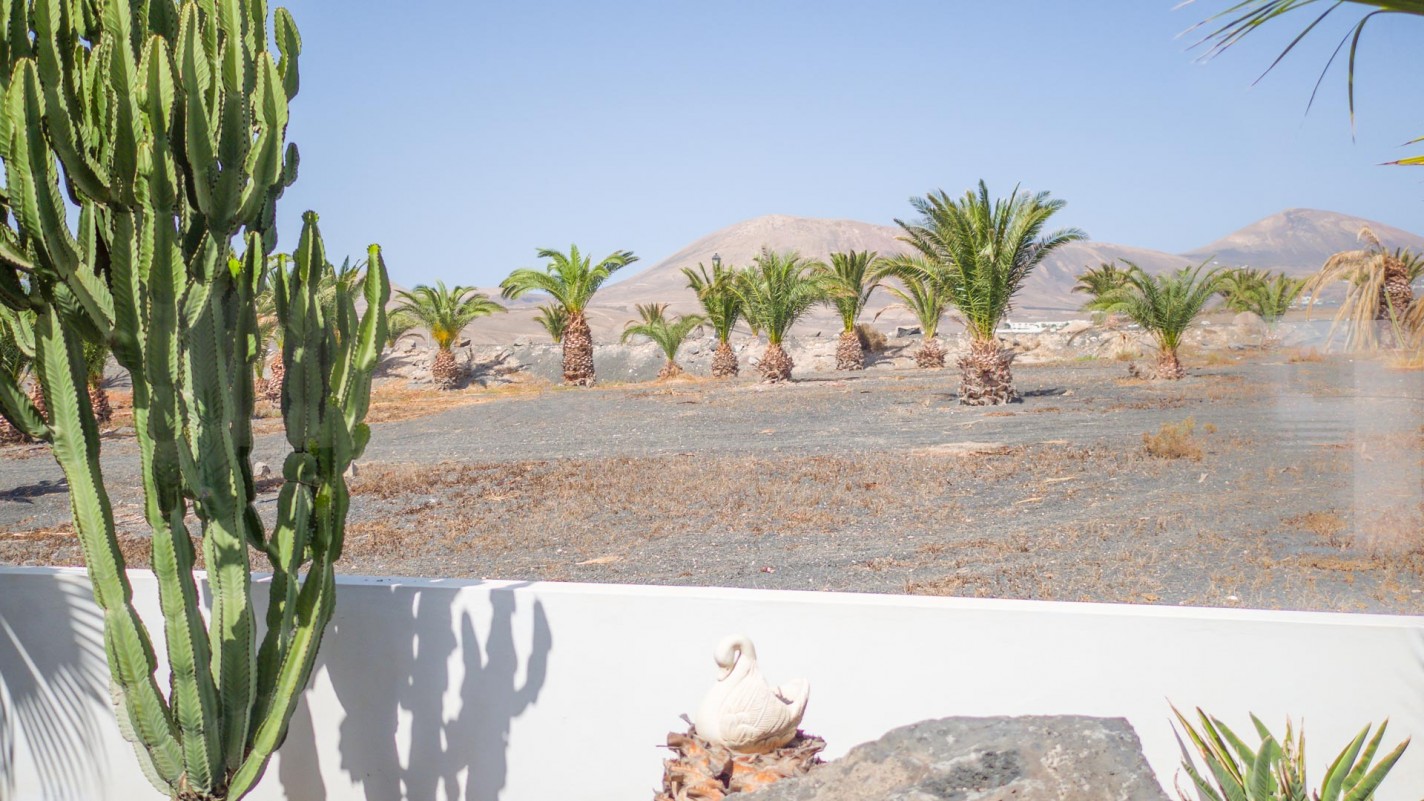 - Puerto Calero - Roper Properties