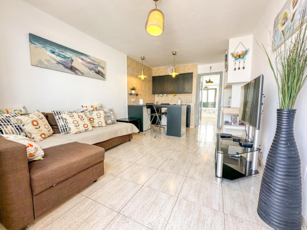 1 Bedroom  Apartment 3