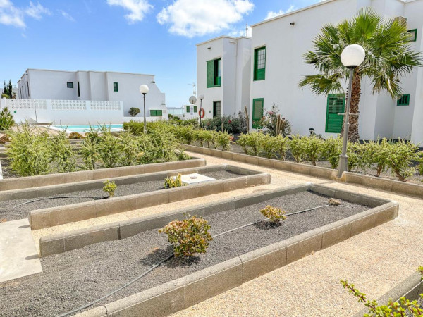 1 Bedroom  Apartment 2