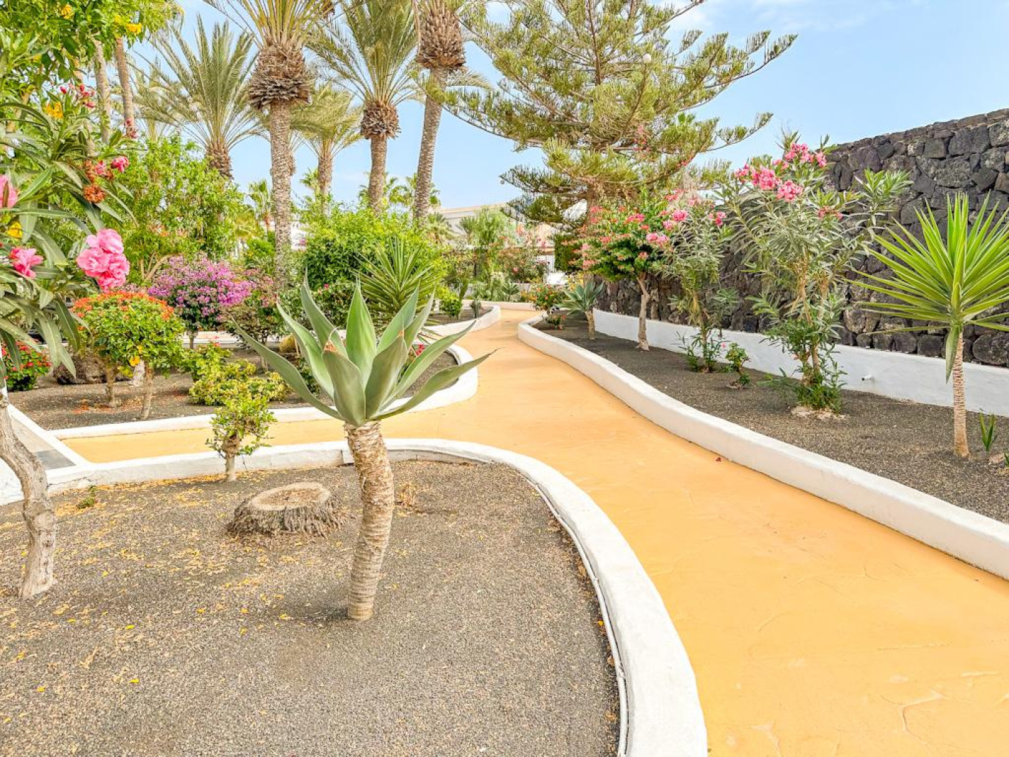 Oasis San Antonio - Puerto Del Carmen - Roper Properties