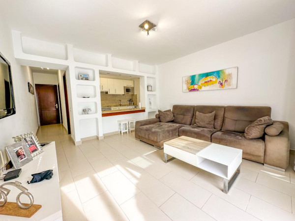 1 Bedroom  Apartment 3