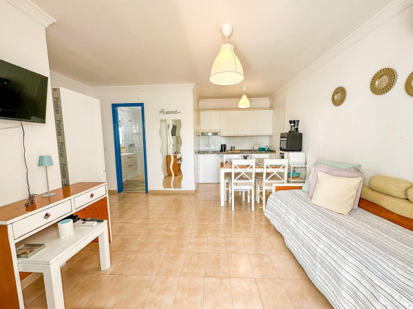 1 Bedroom  Apartment 3