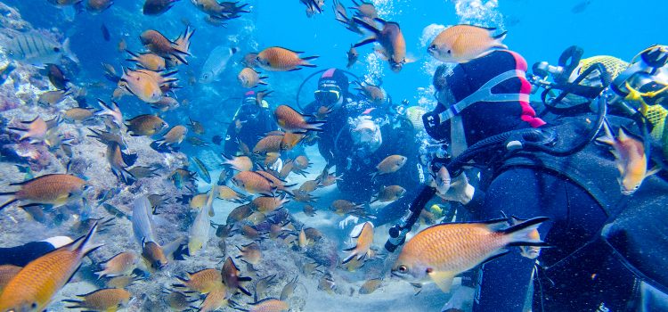 costa-teguise-aquarium