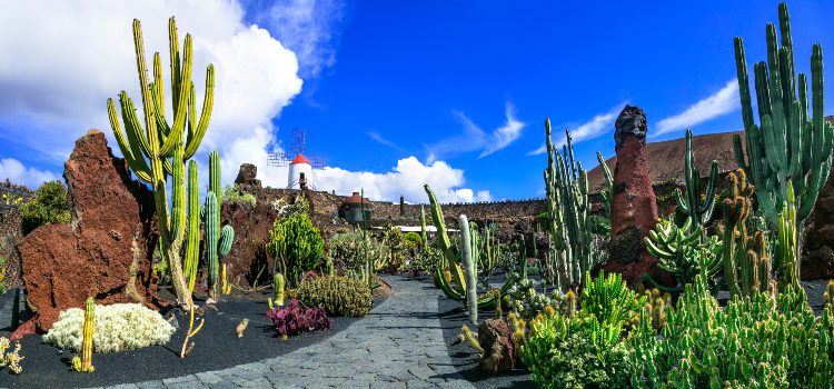 lanzarote-cactus-garden